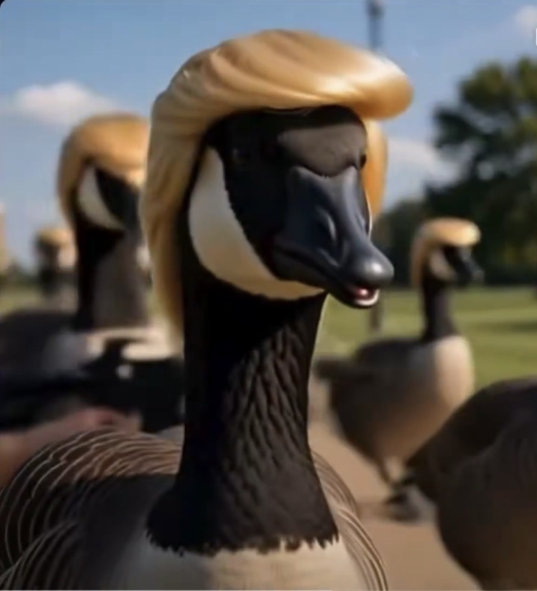 A Canada goose wearing sweeping golden hair, leading a flock of similarly coiffed geese